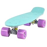 Land Surfer Cruiser Skateboard 22' Ice Blue Board - Ice Purple Wheels